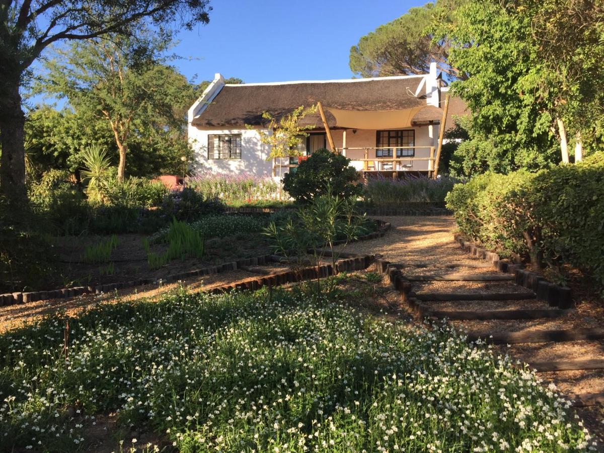 Mooi Bly Villa Paarl Eksteriør billede