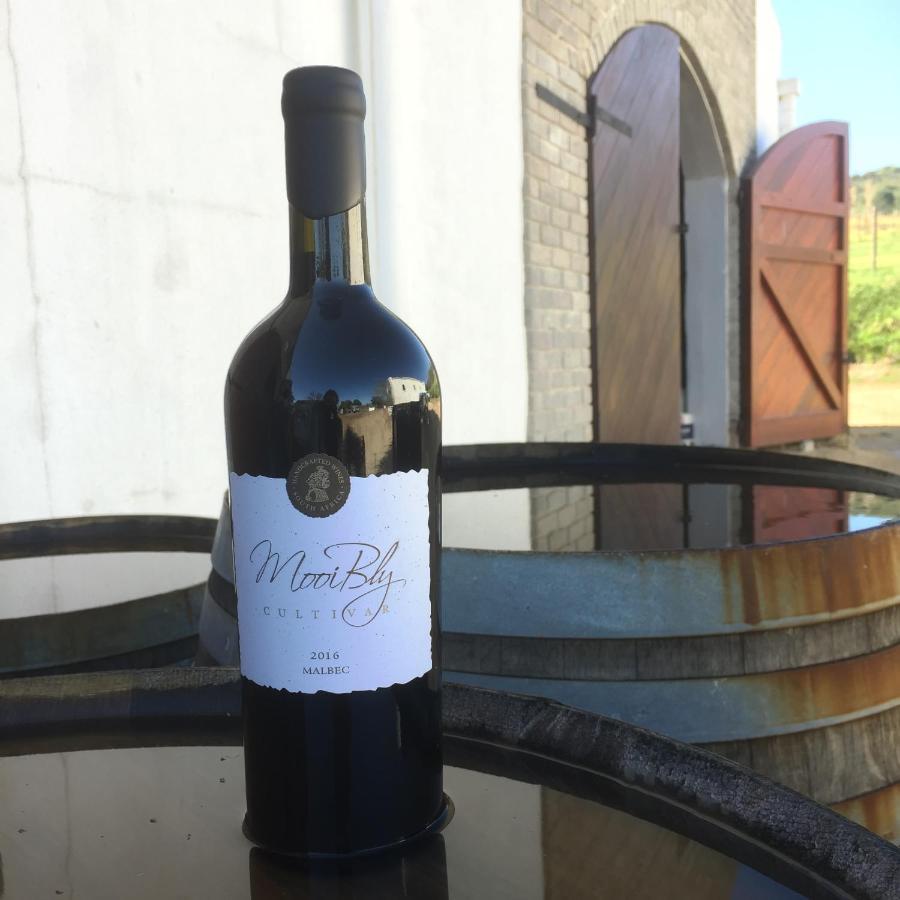 Mooi Bly Villa Paarl Eksteriør billede