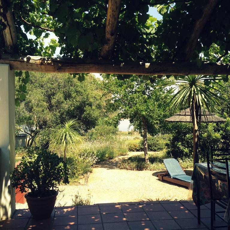 Mooi Bly Villa Paarl Værelse billede