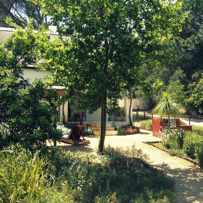 Mooi Bly Villa Paarl Værelse billede