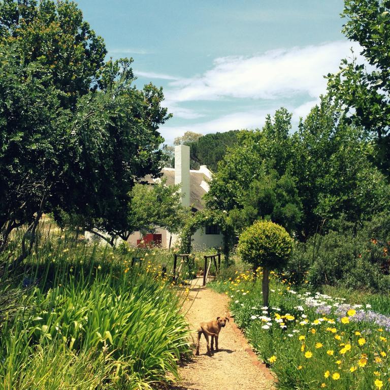 Mooi Bly Villa Paarl Værelse billede
