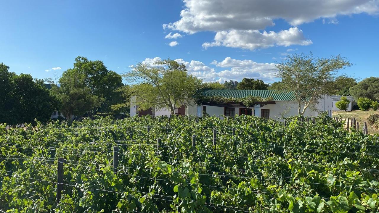 Mooi Bly Villa Paarl Eksteriør billede