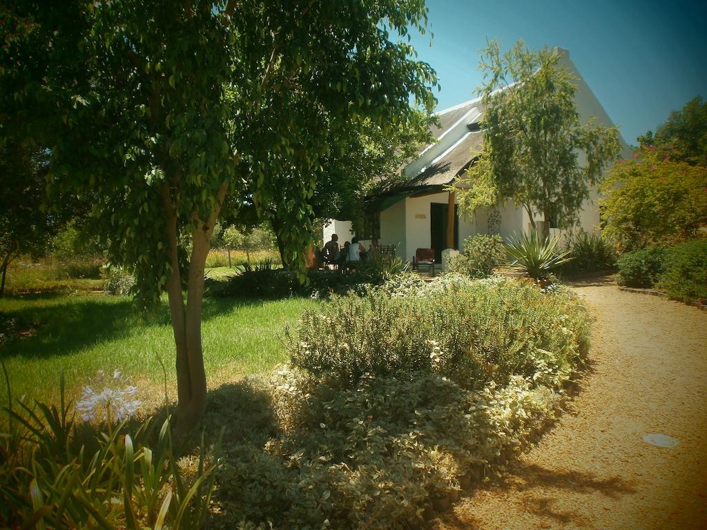 Mooi Bly Villa Paarl Værelse billede