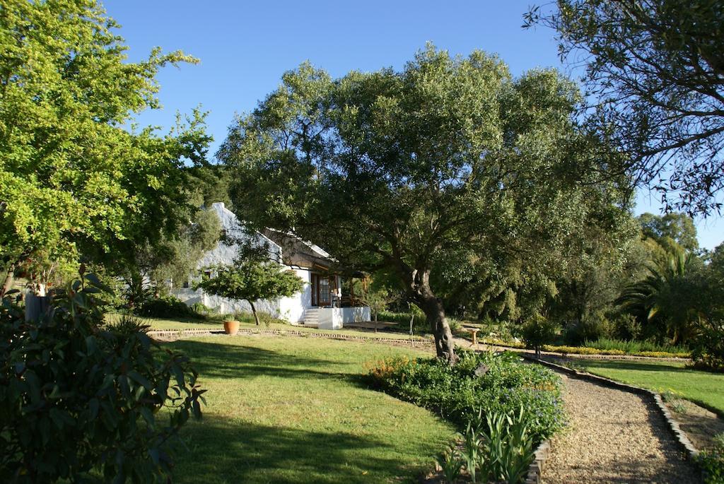 Mooi Bly Villa Paarl Eksteriør billede