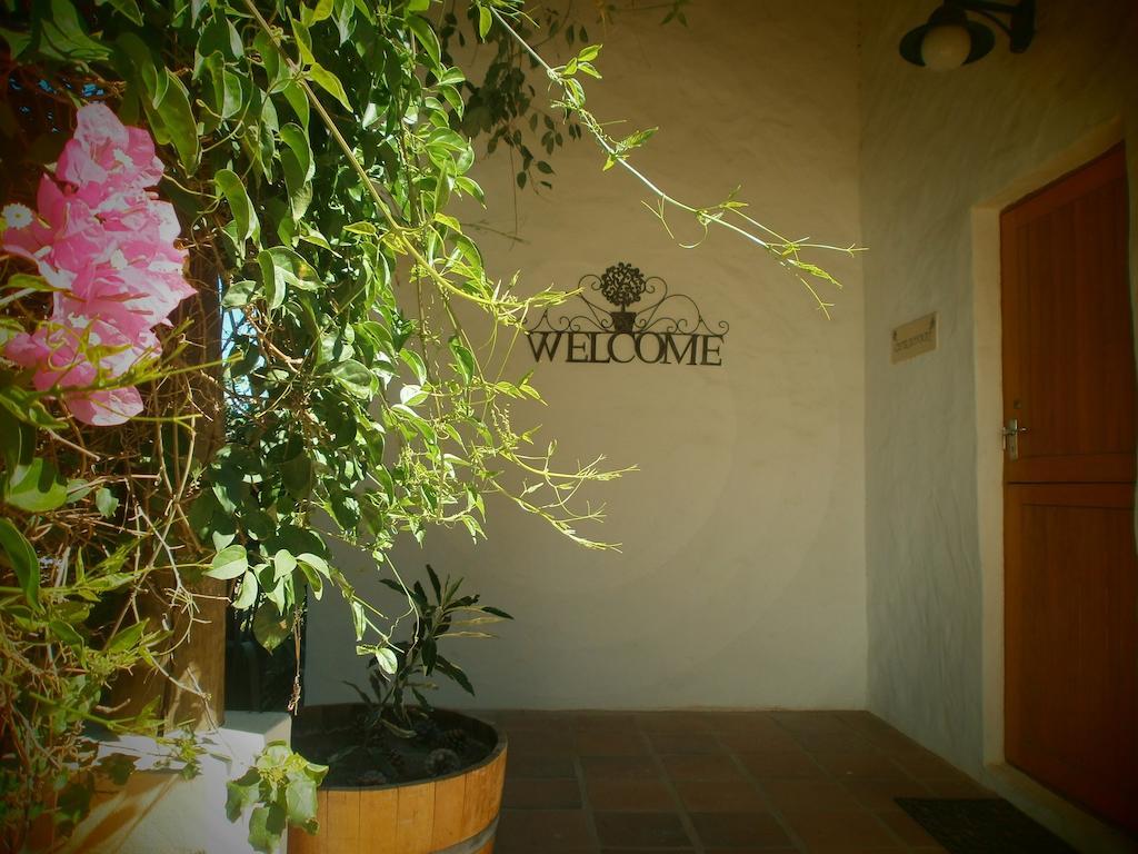 Mooi Bly Villa Paarl Eksteriør billede