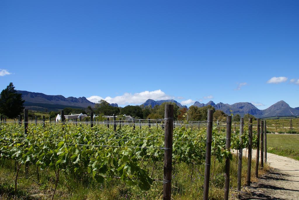 Mooi Bly Villa Paarl Eksteriør billede