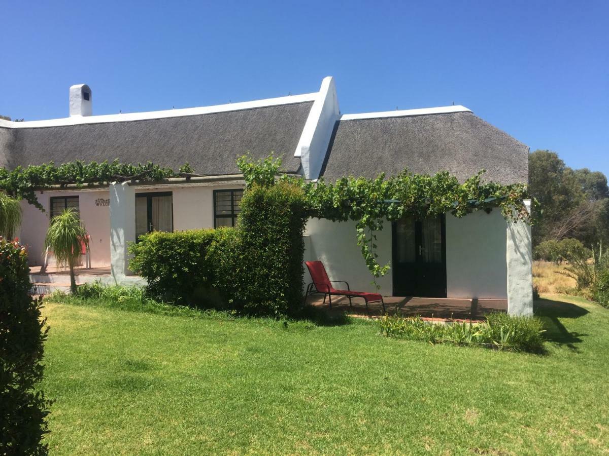 Mooi Bly Villa Paarl Eksteriør billede