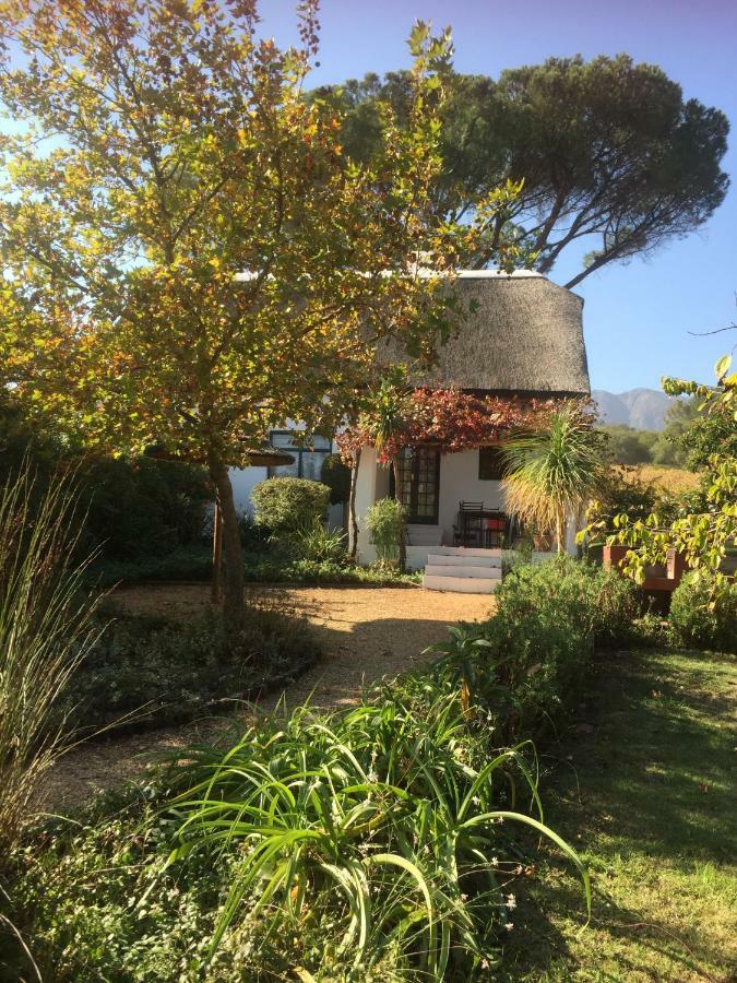 Mooi Bly Villa Paarl Eksteriør billede
