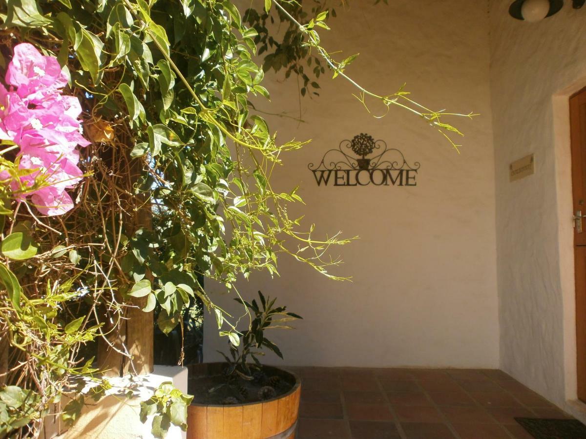 Mooi Bly Villa Paarl Eksteriør billede