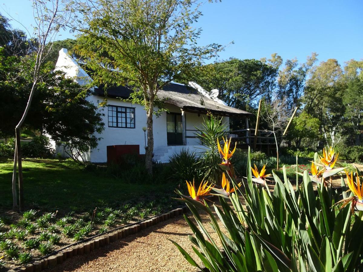 Mooi Bly Villa Paarl Eksteriør billede